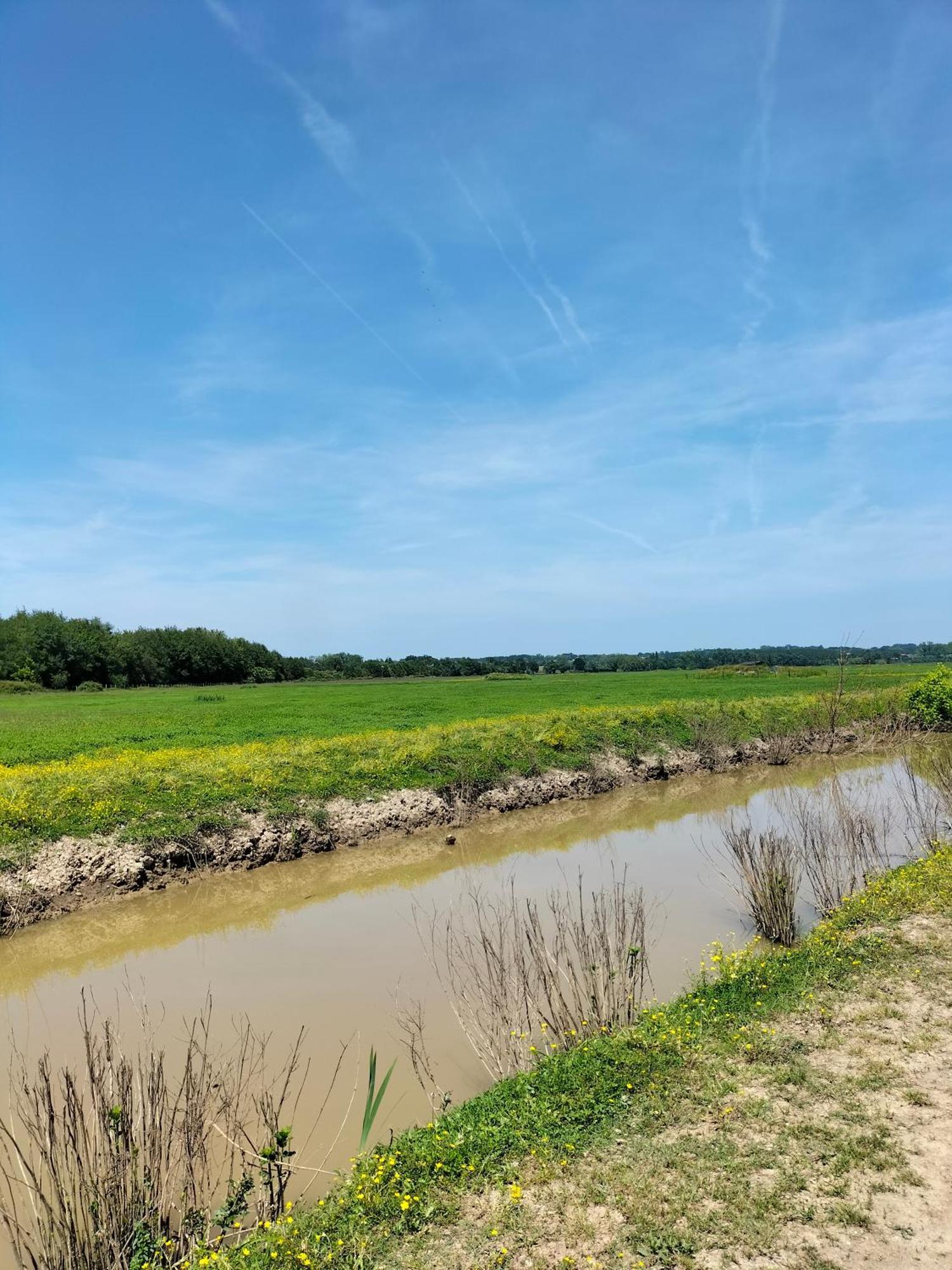 Studio Proche Des Thermes, Des Barthes, Des Plages Et De Dax ! Lägenhet Saubusse Exteriör bild