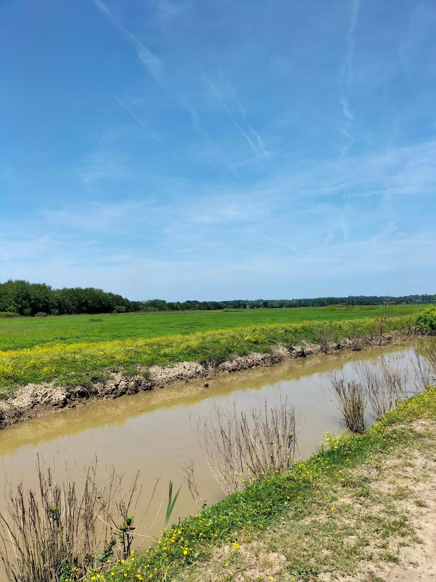 Studio Proche Des Thermes, Des Barthes, Des Plages Et De Dax ! Saubusse Exteriör bild